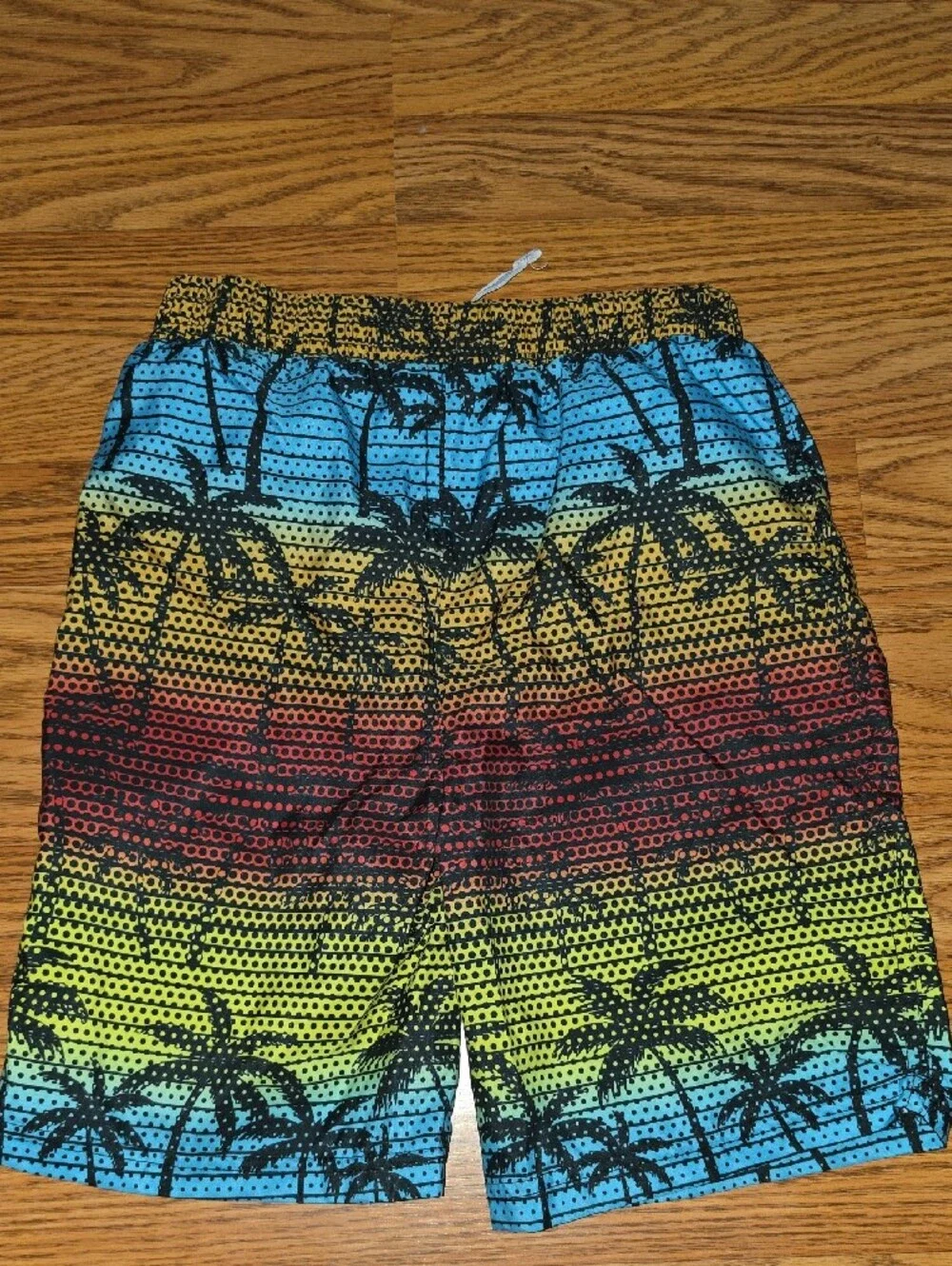 Big Chill Blue Yellow Red Palm Print Boys Swim Trunks